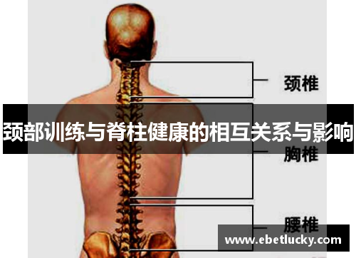 颈部训练与脊柱健康的相互关系与影响